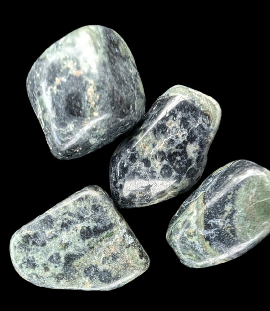 Kambaba Jasper Stromatolite 4/5 stones 8-10g in sunlight - Rocks and Things Store