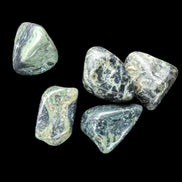 Kambaba Jasper Stromatolite 4/5 stones 8-10g in sunlight - Rocks and Things Store