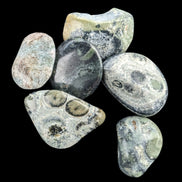 Kambaba Jasper Stromatolite 4/5 stones 8-10g in sunlight - Rocks and Things Store