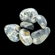 Kambaba Jasper Stromatolite 4/5 stones 8-10g in sunlight - Rocks and Things Store