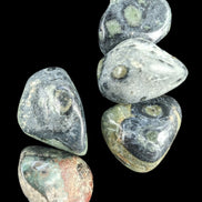 Kambaba Jasper Stromatolite 4/5 stones 8-10g in sunlight - Rocks and Things Store