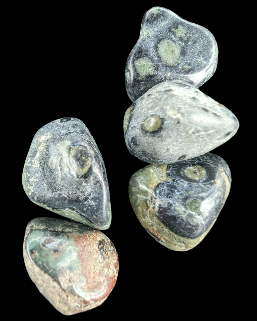 Kambaba Jasper Stromatolite 4/5 stones 8-10g in sunlight - Rocks and Things Store