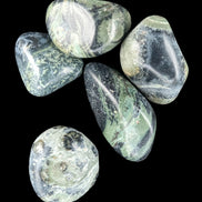 Kambaba Jasper Stromatolite 4/5 stones 8-10g in sunlight - Rocks and Things Store