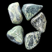 Kambaba Jasper Stromatolite 4/5 stones 8-10g in sunlight - Rocks and Things Store