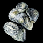 Kambaba Jasper Stromatolite 4/5 stones 8-10g in sunlight - Rocks and Things Store