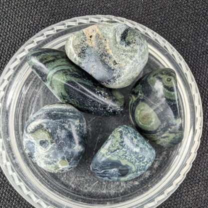 Kambaba Jasper Stromatolite 4/5 stones 8-10g