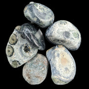 Kambaba Jasper Stromatolite 4/5 stones 8-10g in sunlight - Rocks and Things Store