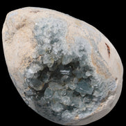 Blue Celestite geode 4990g in sunshine - Rocks and Things Store