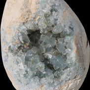 Blue Celestite geode 4990g in sunshine - Rocks and Things Store