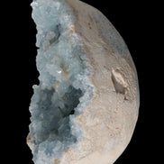Blue Celestite geode 4990g in sunshine - Rocks and Things Store