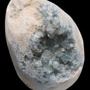 Blue Celestite geode 4990g in sunshine - Rocks and Things Store