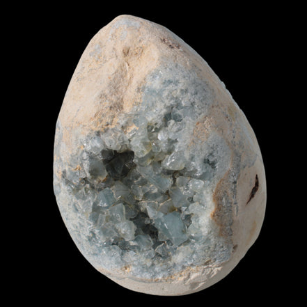 Blue Celestite geode 4990g in sunshine - Rocks and Things Store