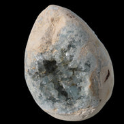 Blue Celestite geode 4990g in sunshine - Rocks and Things Store