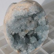Blue Celestite geode 4990g Rocks and Things