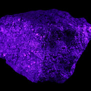Olivine pyroclastic volcanic bomb from Central Victoria 116*81*65mm 930g in UV light - Rocks and Things Store
