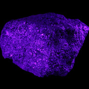 Olivine pyroclastic volcanic bomb from Central Victoria 116*81*65mm 930g in UV light - Rocks and Things Store