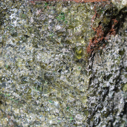 Olivine pyroclastic volcanic bomb from Central Victoria 116*81*65mm 930g in sunlight - Rocks and Things Store