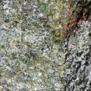 Olivine pyroclastic volcanic bomb from Central Victoria 116*81*65mm 930g in sunlight - Rocks and Things Store