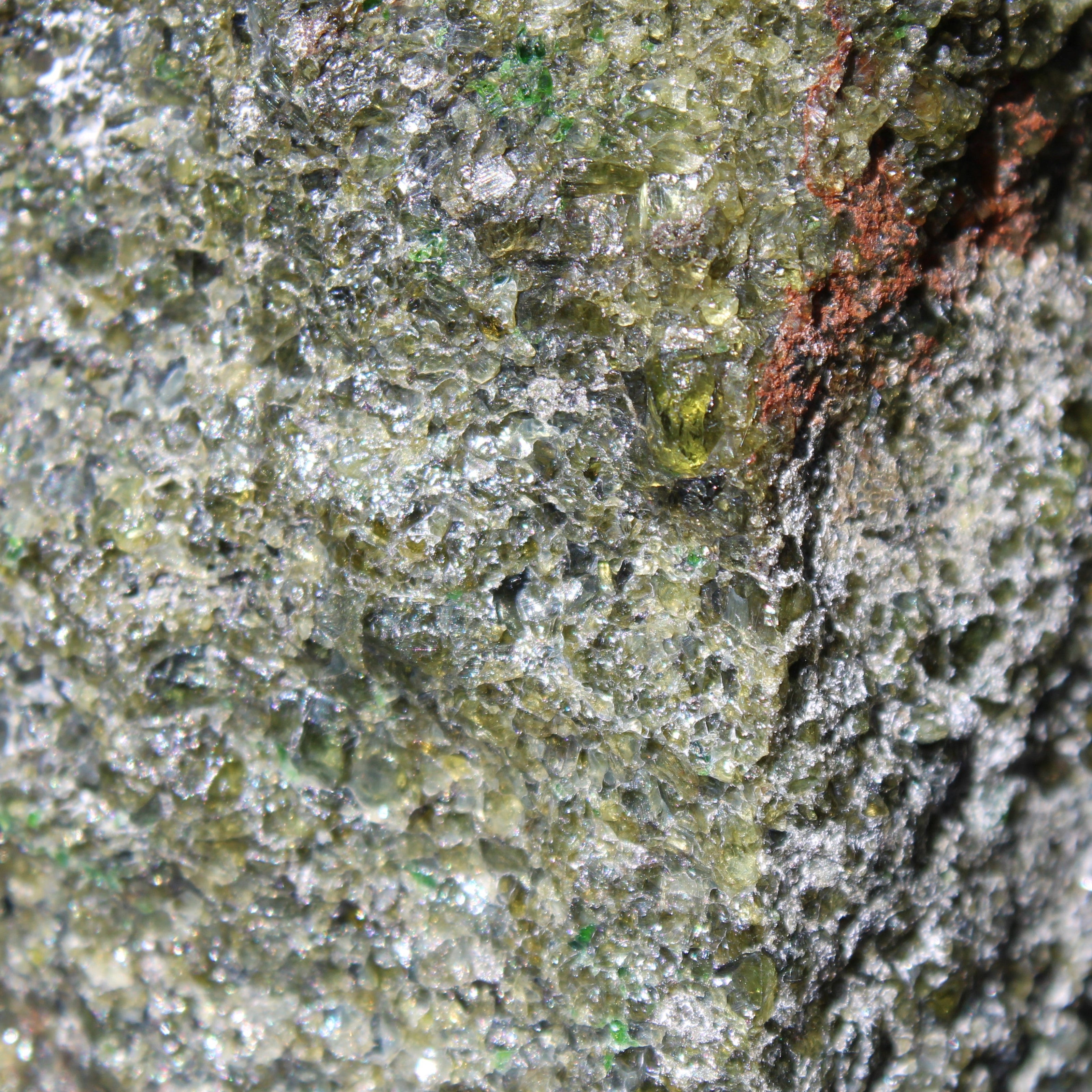 Olivine pyroclastic volcanic bomb from Central Victoria 116*81*65mm 930g in sunlight - Rocks and Things Store