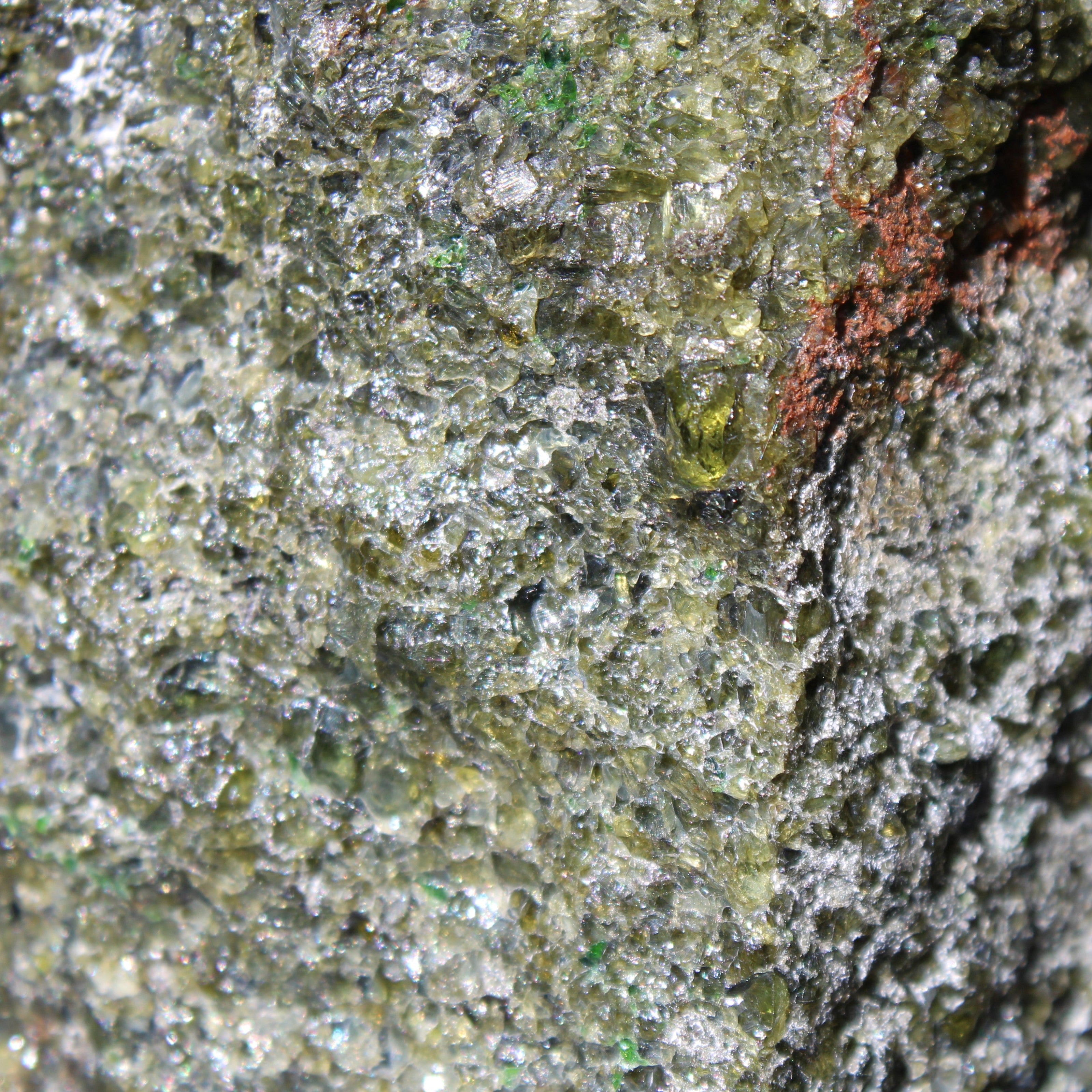 Olivine pyroclastic volcanic bomb from Central Victoria 116*81*65mm 930g in sunlight - Rocks and Things Store