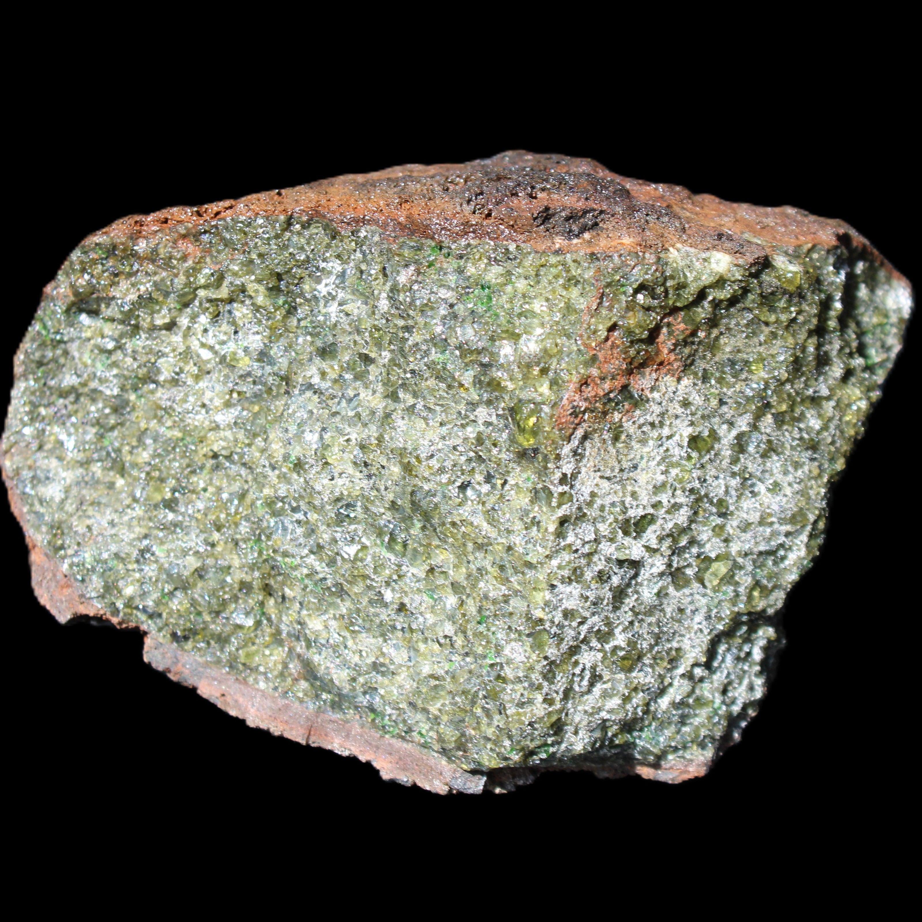 Olivine pyroclastic volcanic bomb from Central Victoria 116*81*65mm 930g in sunlight - Rocks and Things Store