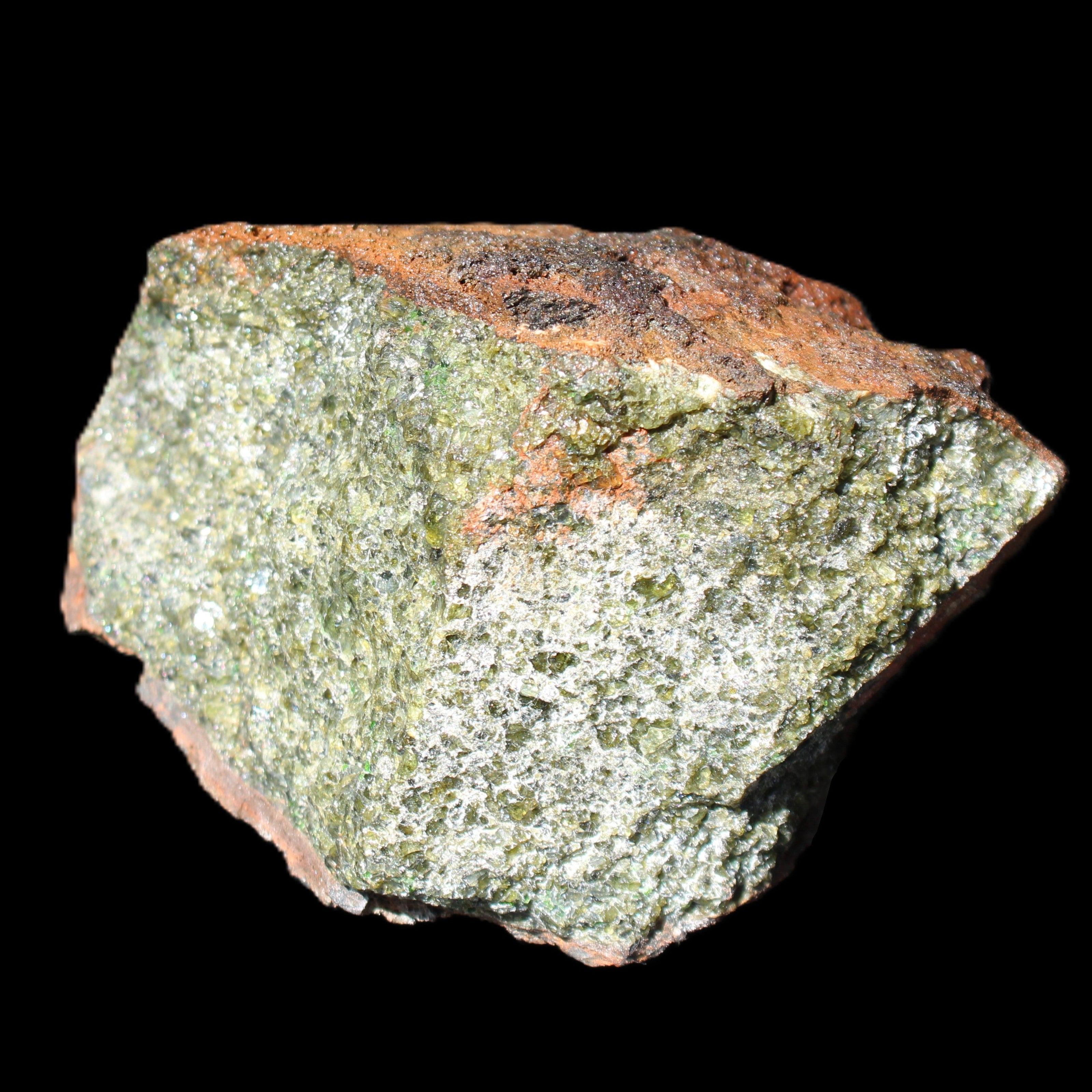 Olivine pyroclastic volcanic bomb from Central Victoria 116*81*65mm 930g in sunlight - Rocks and Things Store