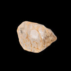 Fenster Diamond Quartz 7/10g in sunlight - Rocks and Things Store