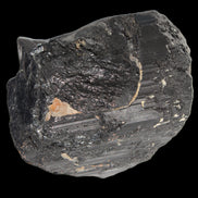 Black Tourmaline 727g in sunlight - Rocks and Things Store