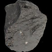 Black Tourmaline 727g in sunlight - Rocks and Things Store