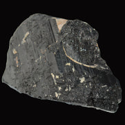 Black Tourmaline 727g in sunlight - Rocks and Things Store