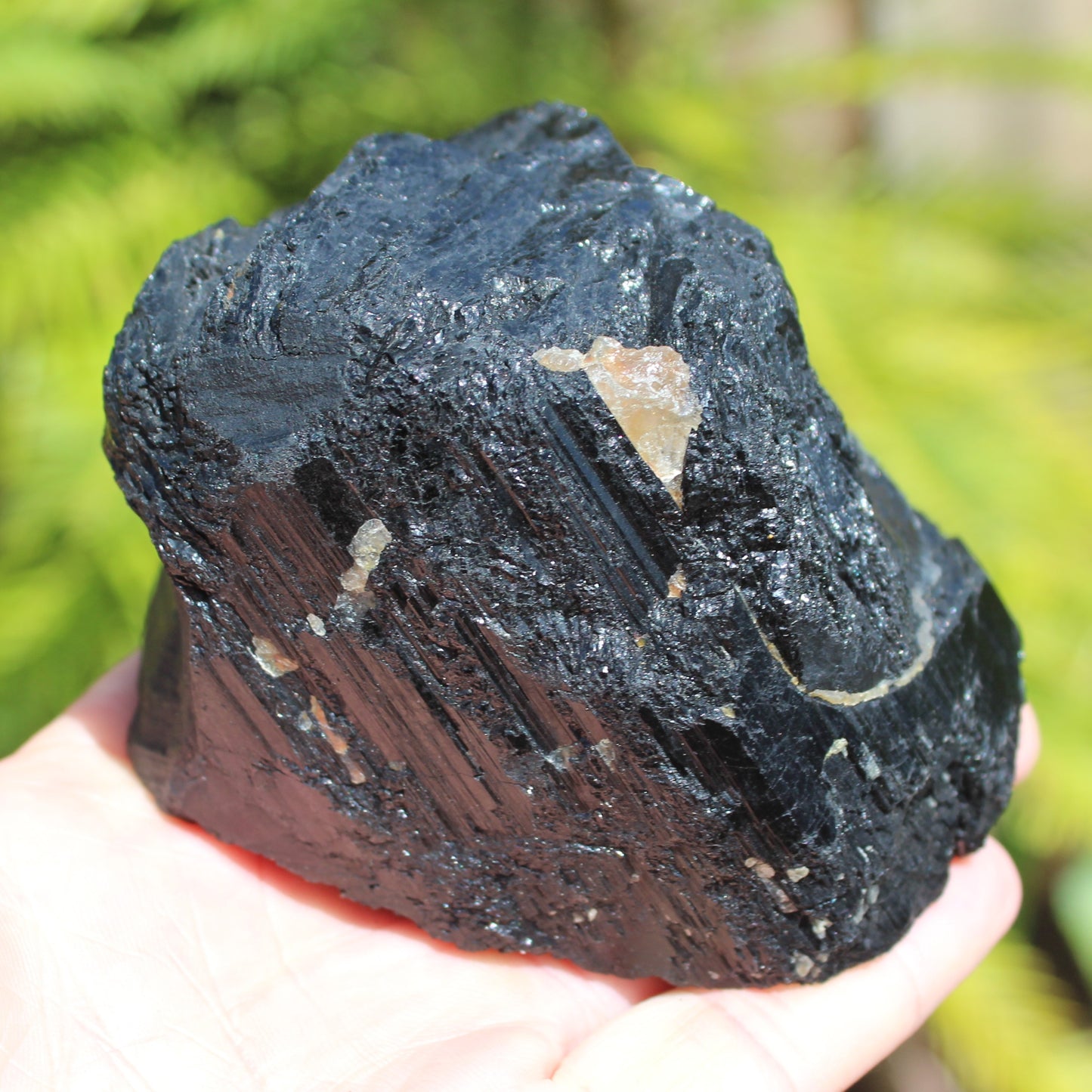 Black Tourmaline 727g Rocks and Things