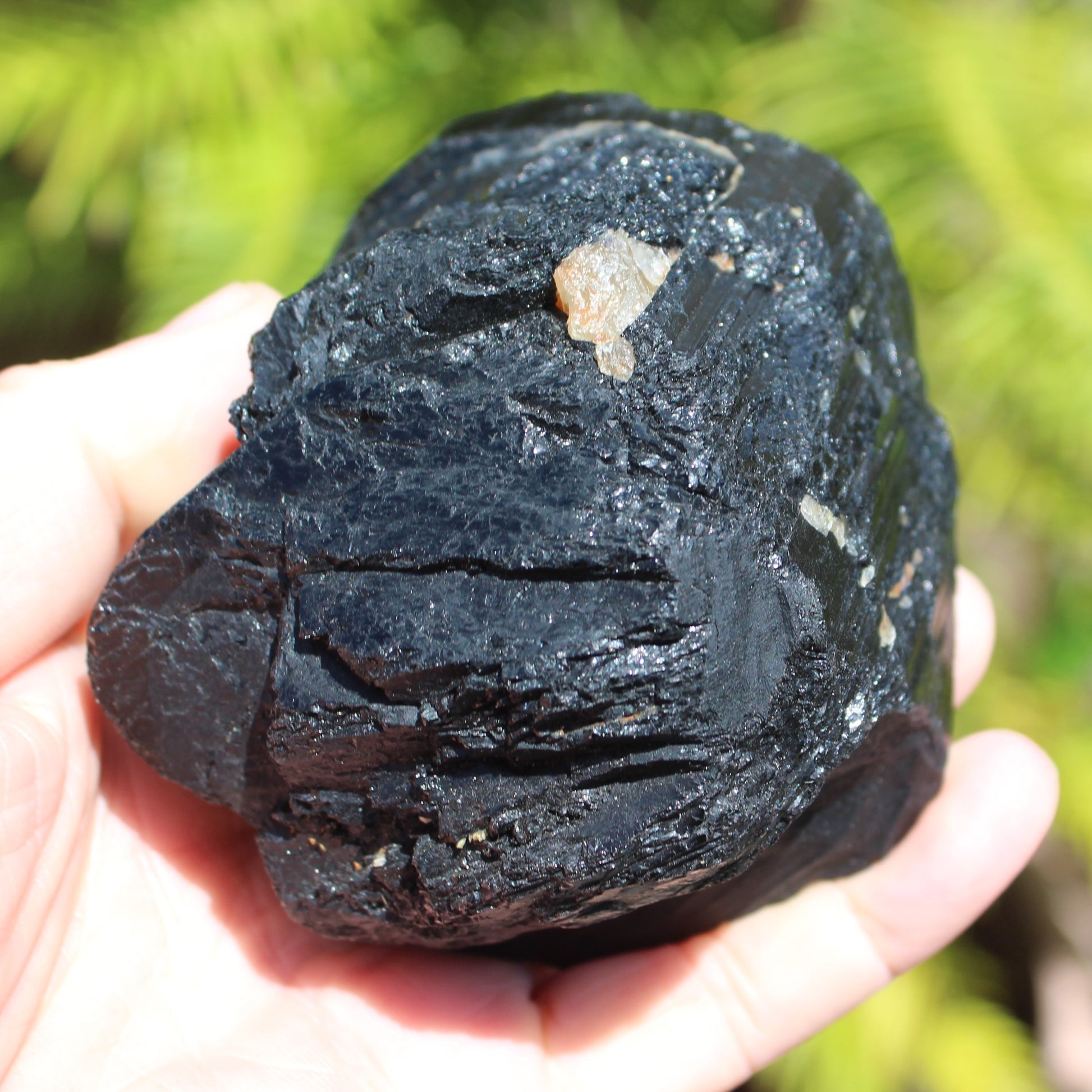 Black Tourmaline 727g Rocks and Things