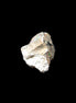 Arsenopyrite 5g Rocks and Things