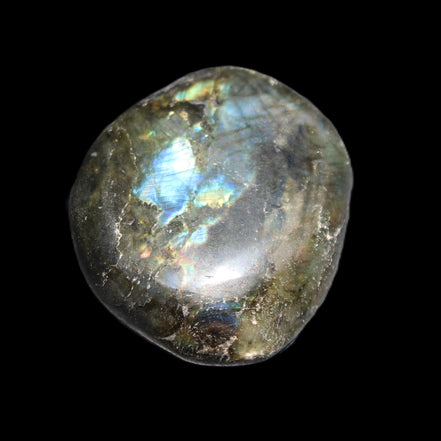 Labradorite blue plus palmstone 55g in sunlight - Rocks and Things Store
