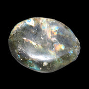 Labradorite blue plus palmstone 55g in sunlight - Rocks and Things Store