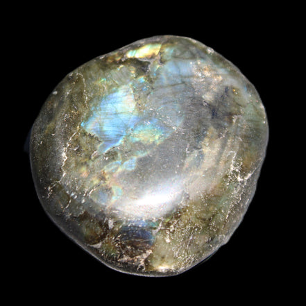 Labradorite blue plus palmstone 55g in sunlight - Rocks and Things Store