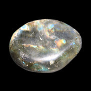 Labradorite blue plus palmstone 55g in sunlight - Rocks and Things Store