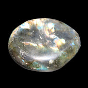 Labradorite blue plus palmstone 55g in sunlight - Rocks and Things Store