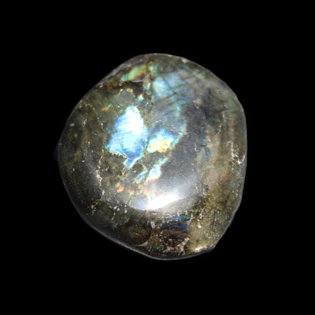 Labradorite blue plus palmstone 55g in sunlight - Rocks and Things Store