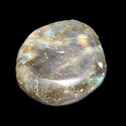 Labradorite blue plus palmstone 55g in sunlight - Rocks and Things Store