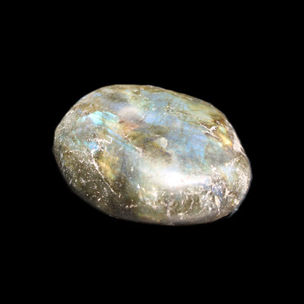 Labradorite blue plus palmstone 55g in sunlight - Rocks and Things Store