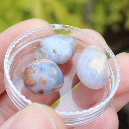 Blue Sakura Agate 3 stones 7-8g