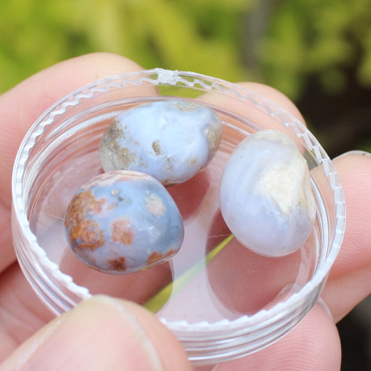 Blue Sakura Agate 3 stones 7-8g Rocks and Things