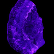 Dark Violet and Rainbow Fluorite geode section 55.9g in sunlight - Rocks and Things Store