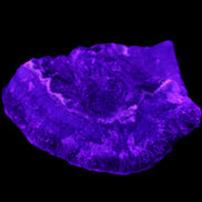 Dark Violet and Rainbow Fluorite geode section 55.9g in sunlight - Rocks and Things Store