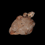 Fenster skeletal Enhydro 1/2 crystals with oil 18-20g in sunshine - Rocks and Things Store