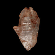 Fenster skeletal Enhydro 1/2 crystals with oil 18-20g in sunshine - Rocks and Things Store