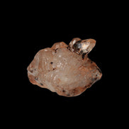 Fenster skeletal Enhydro 1/2 crystals with oil 18-20g in sunshine - Rocks and Things Store