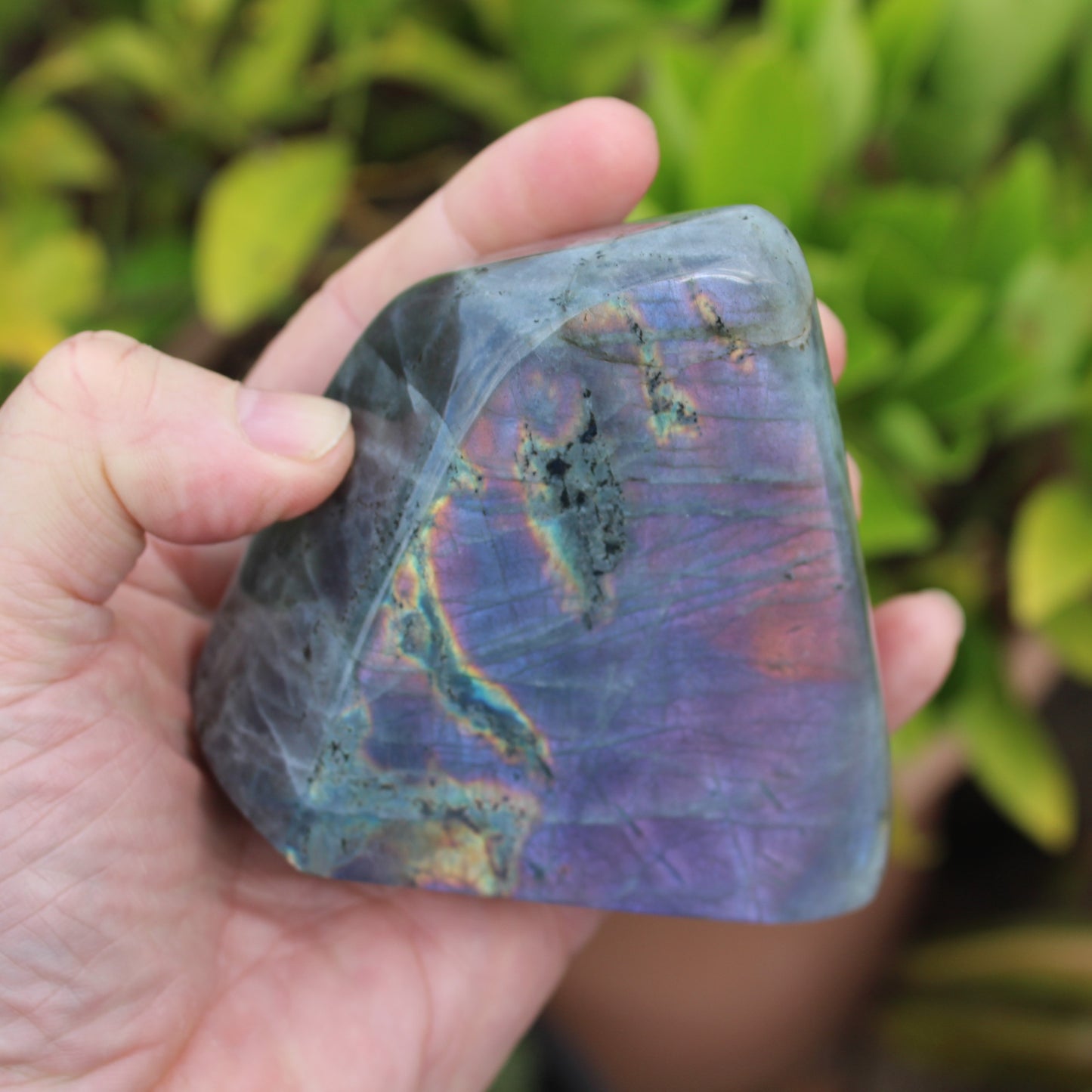 Labradorite freeform 557g Rocks and Things