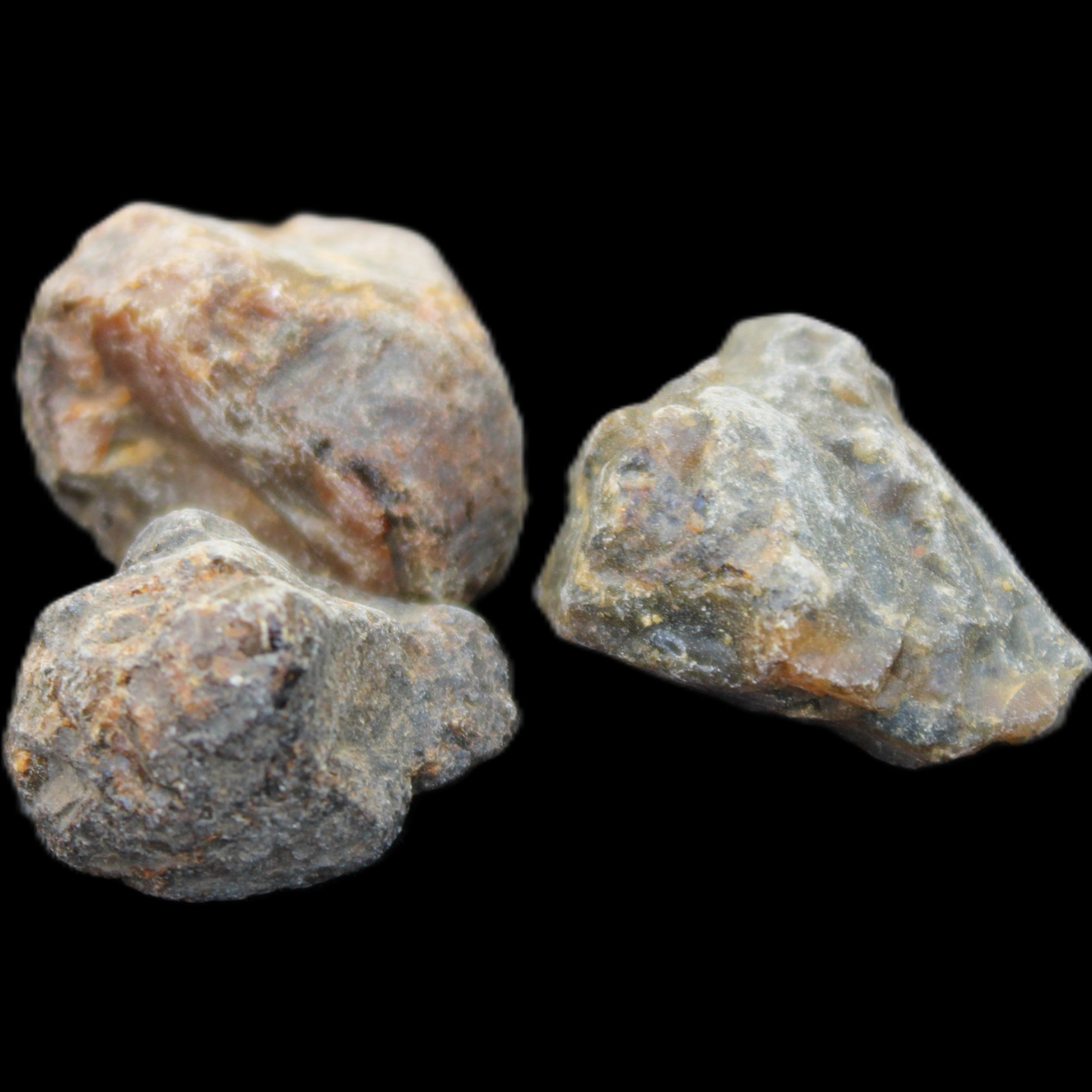 Blue Amber from Mozambique 2/3 pieces 8g in sunlight - Rocks and Things Store